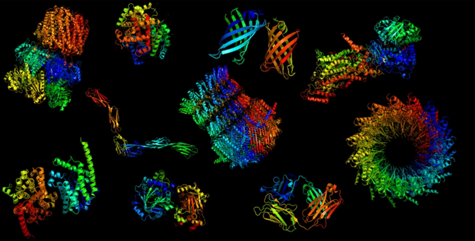 AI makes key protein research a million times faster