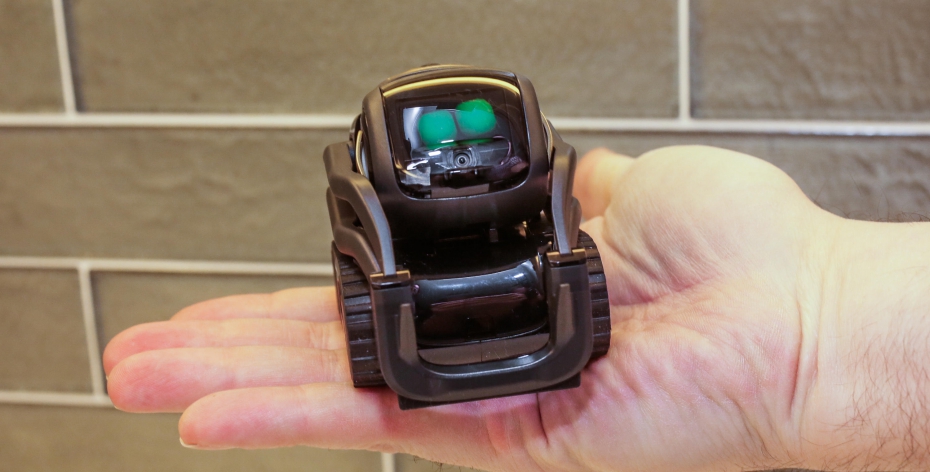 Anki, maker of cute mini-robot Vector, is shutting down