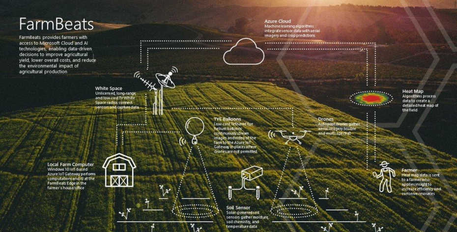 Inside the farm of the future