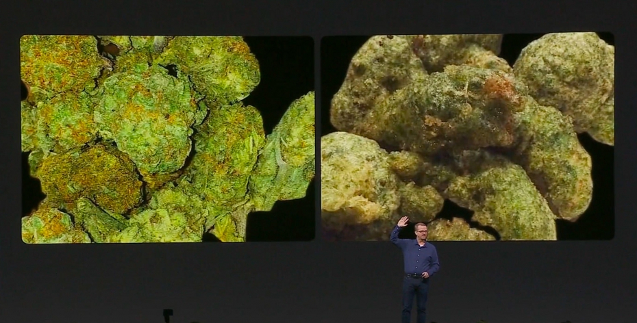 Marijuana or broccoli? Facebook illustrates AI's challenges with this example