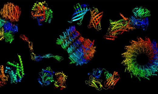 AI makes key protein research a million times faster