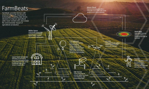 Inside the farm of the future