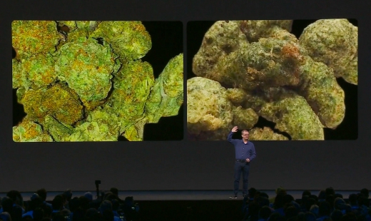 Marijuana or broccoli? Facebook illustrates AI's challenges with this example