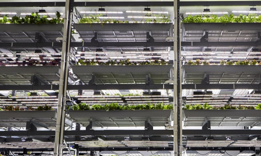 This vertical farm could be the answer to a future without water