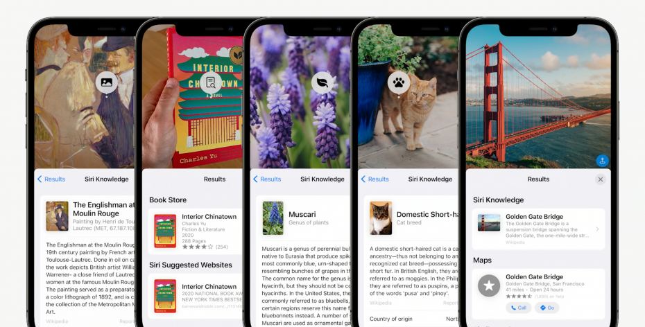 iPhone AI Tip: You Can Copy Text From Photos With This Trick