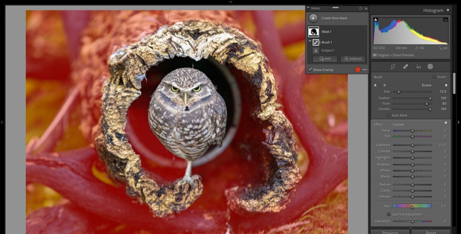 Lightroom masking arrives, bringing a major upgrade to photo editing