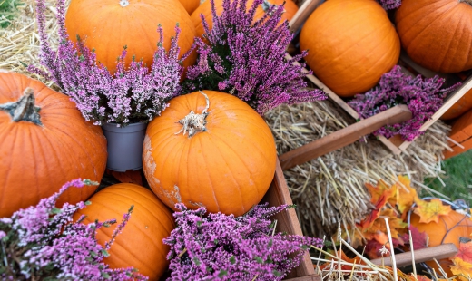 How to Plan Your Thanksgiving Meal Using AI