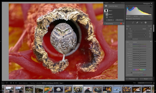 Lightroom masking arrives, bringing a major upgrade to photo editing